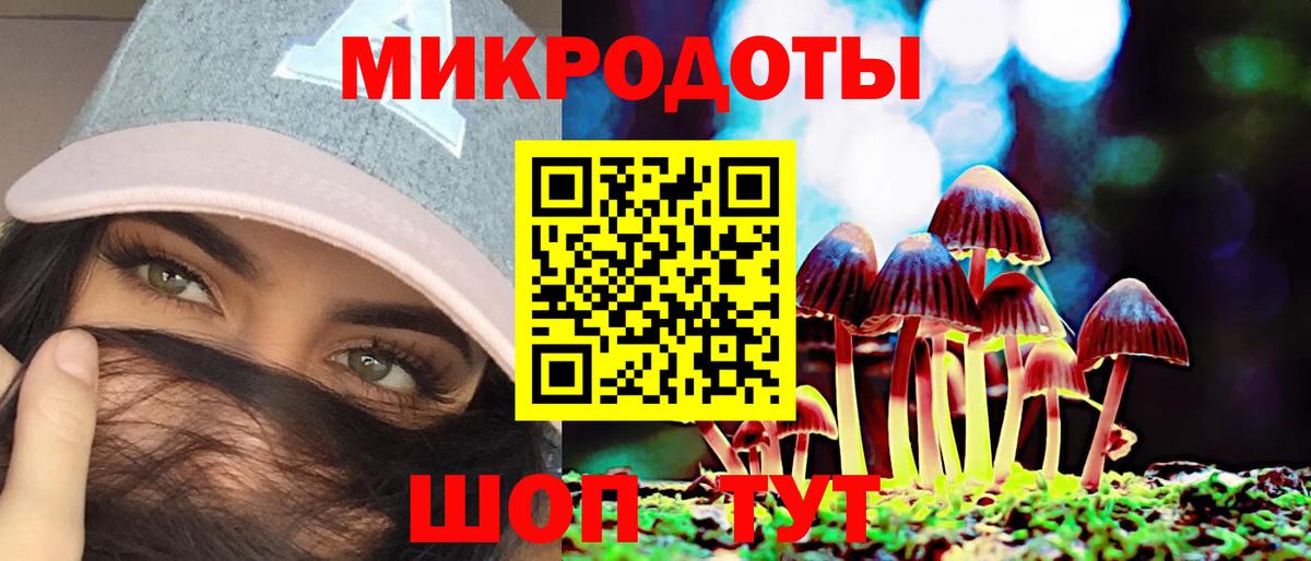 Псилоцибиновые грибы Psilocybine cubensis Орёл